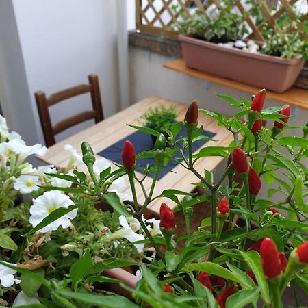 31Barra29 Apartment Merine ภายนอก รูปภาพ
